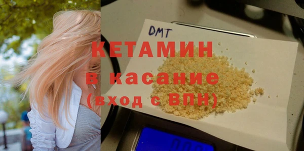 гашик Гусев