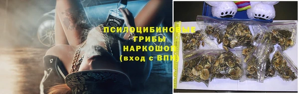 гашик Гусев