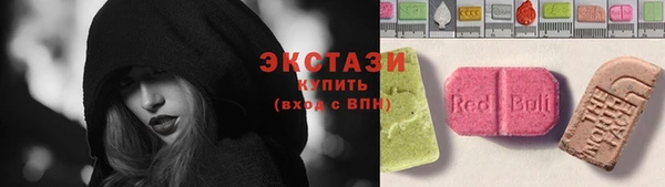 гашик Гусев