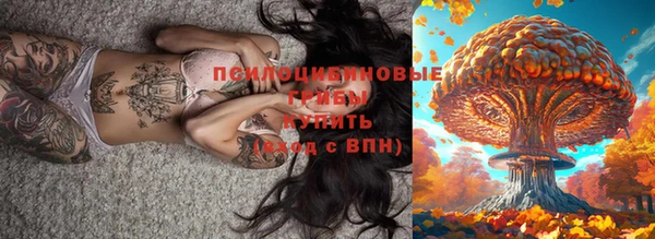 гашик Гусев