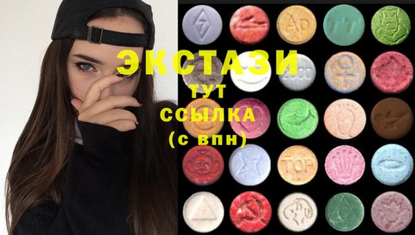 гашик Гусев