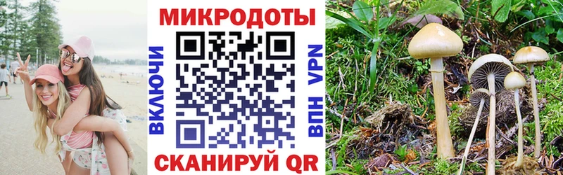 Псилоцибиновые грибы Psilocybe  Харабали 